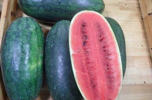 山东两位网红吃瓜,山东网红挑战“极限吃瓜”大比拼  第3张